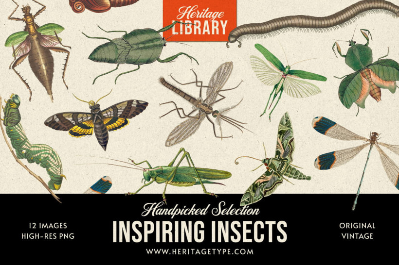 "Inspiring Insects", de Heritage Library.