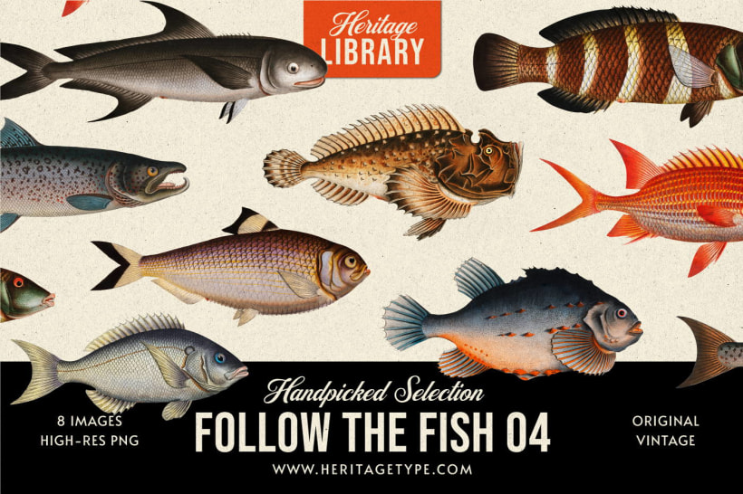 “Follow the Fish 04”, de Heritage Library.