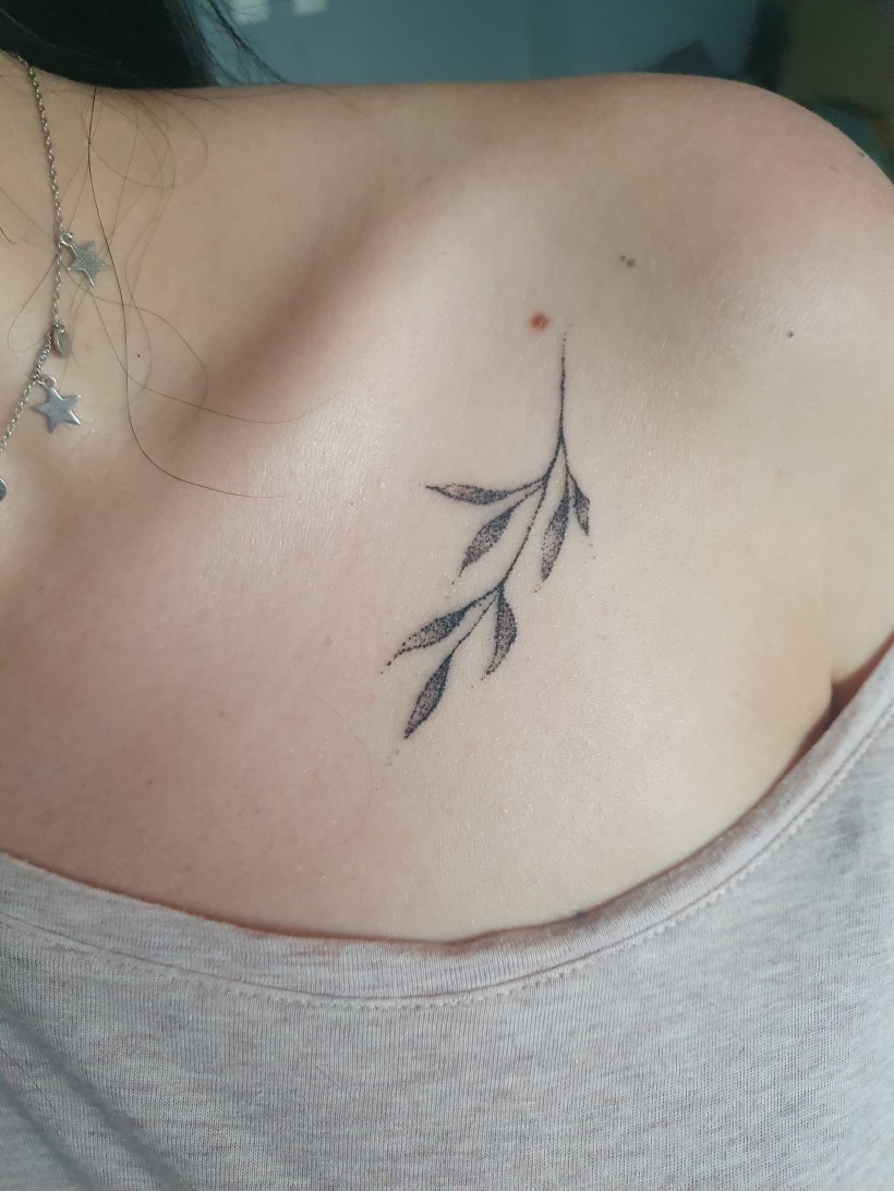 Love this delicate willow branch    Wild Child Tattoo  Facebook