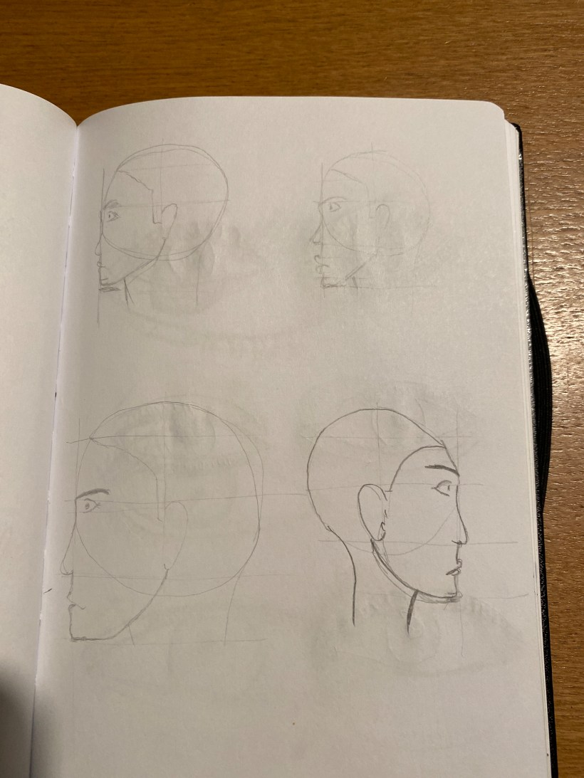 Mein Abschlussprojekt Für Den Kurs Skizzenbuch Für Porträts Erkunde Das Menschliche Gesicht 5559