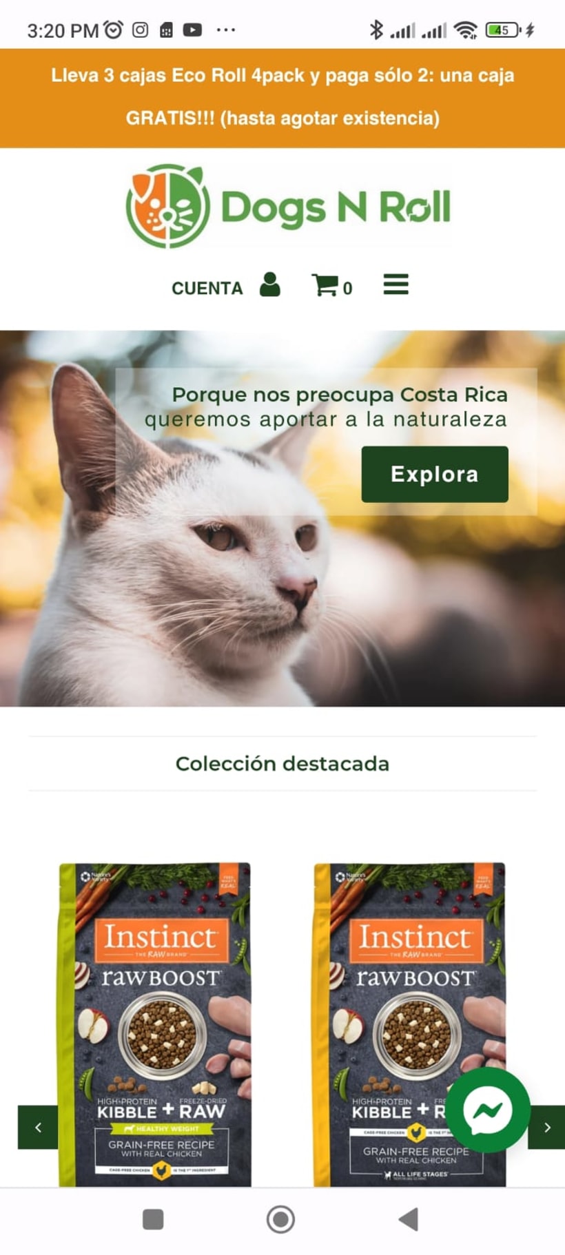 Creación de mi tienda virtual para mascotas en Costa Rica: Dogs N Roll |  Domestika