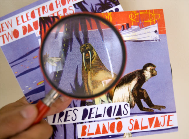 Single Tres Delicias / Blanco Salvaje 2