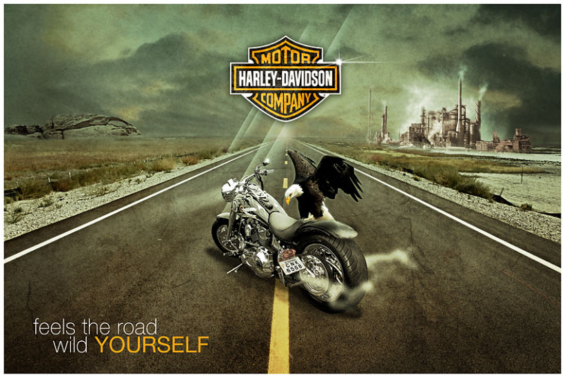 Harley Davidson 1