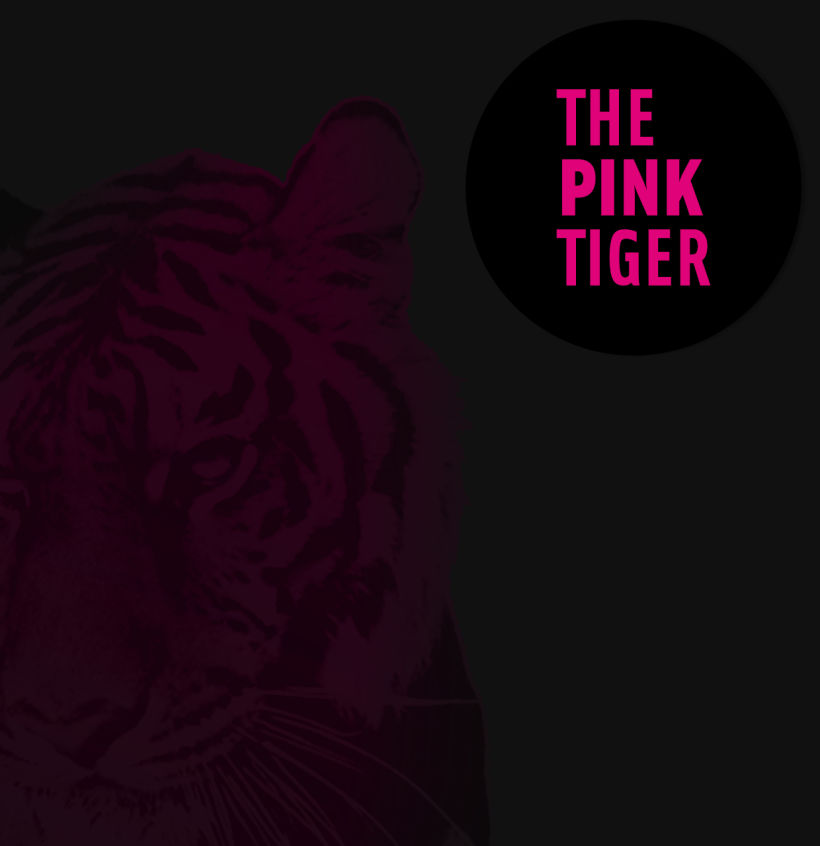 The Pink Tiger 1