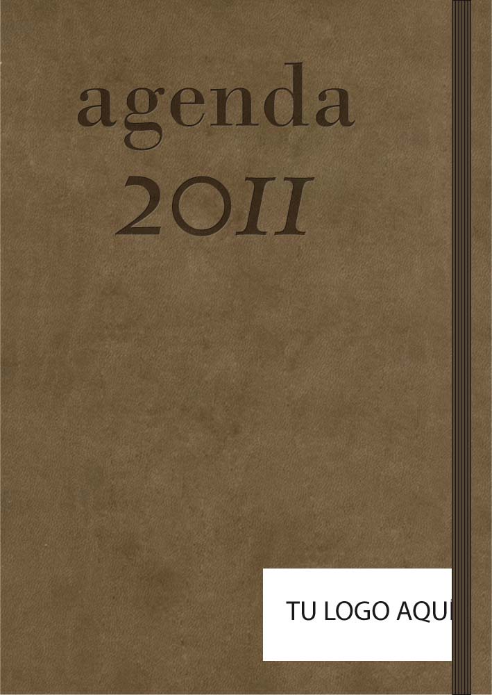 Agendas 2011 para Caixanova 3