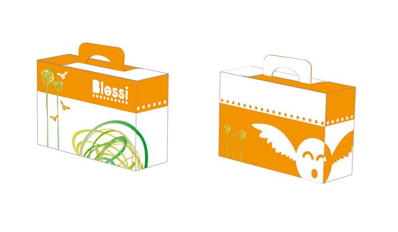 Packaging - Zapatos Blossi 1