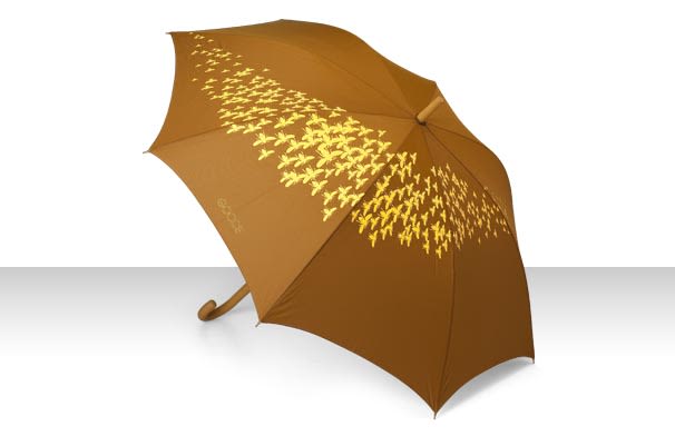 Estampados paraguas 4