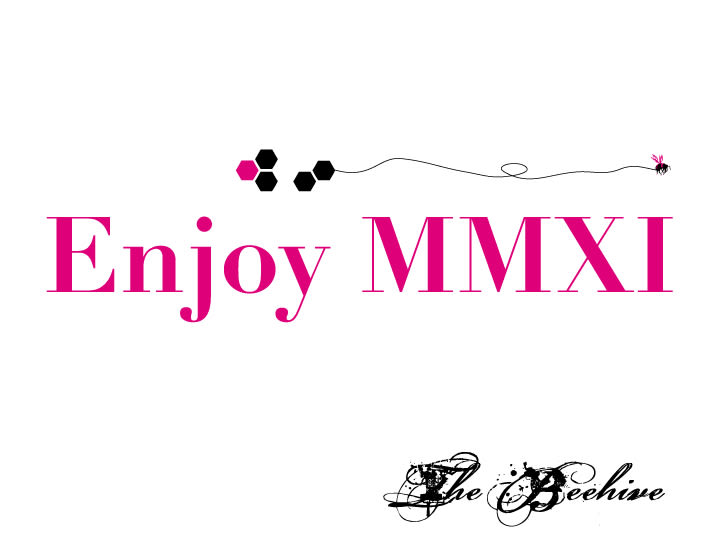 Enjoy MMXI 4