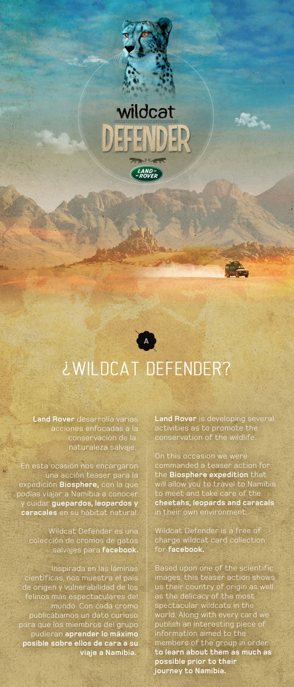WILDCAT DEFENDER 1