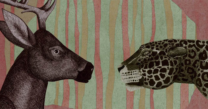 Le cerf et les jaguars (ilustraciones) 5