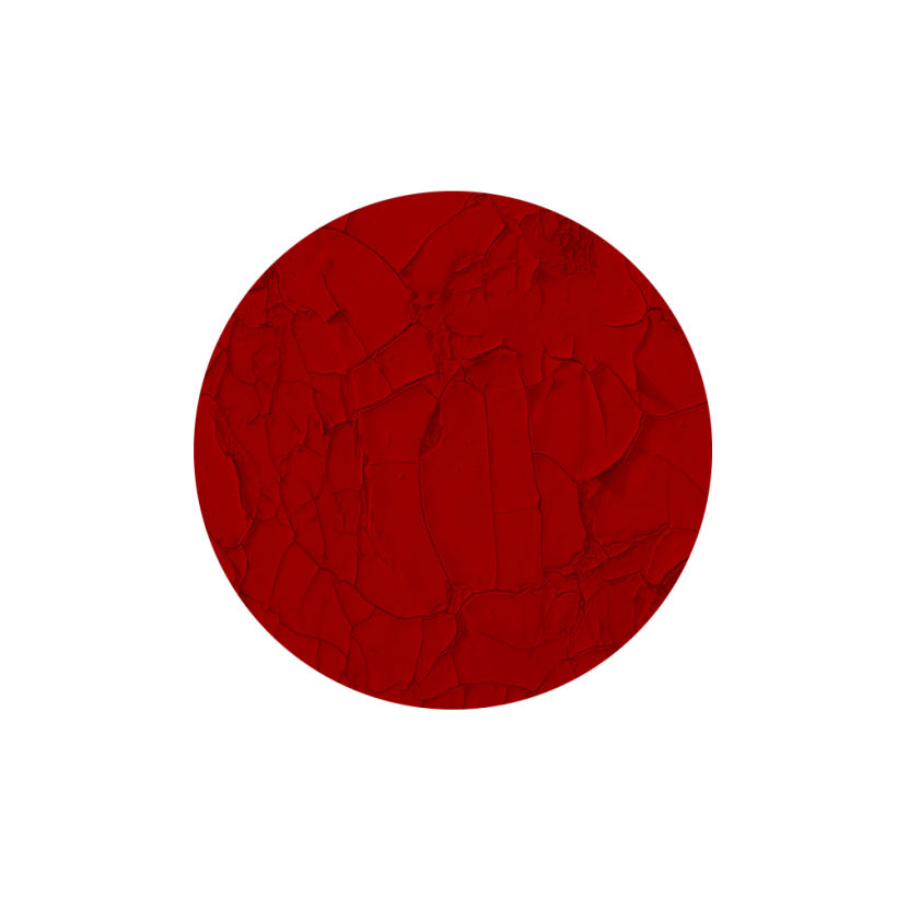 Japón 2