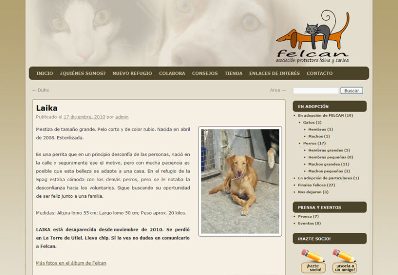 Felcan - Asociacion Protectora Felina y Canina 4