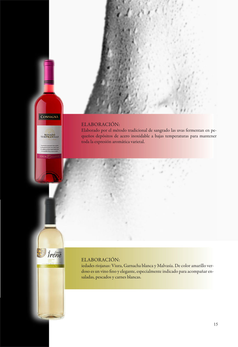 Catálogo para vinos 2