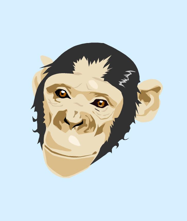 chimp 1