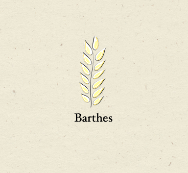 Barthes 0