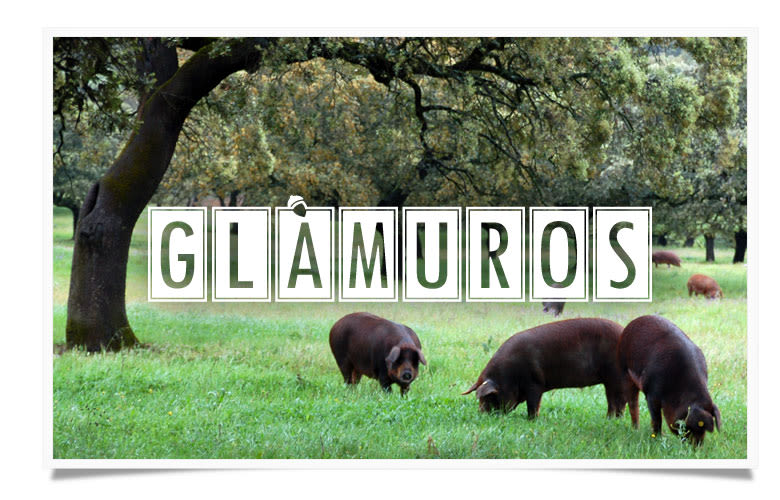 Logotipo Glàmuros 2