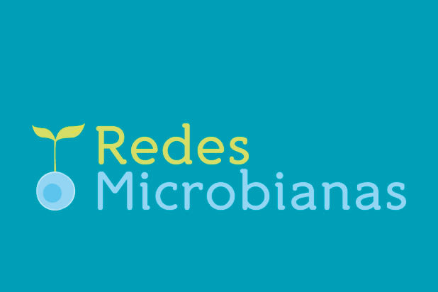 Identidad Corporativa - Redes Microbianas 2