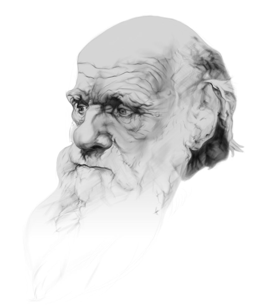 Darwin Portrait 1