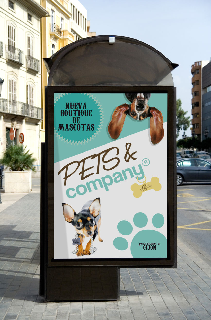 Pets & Company 11