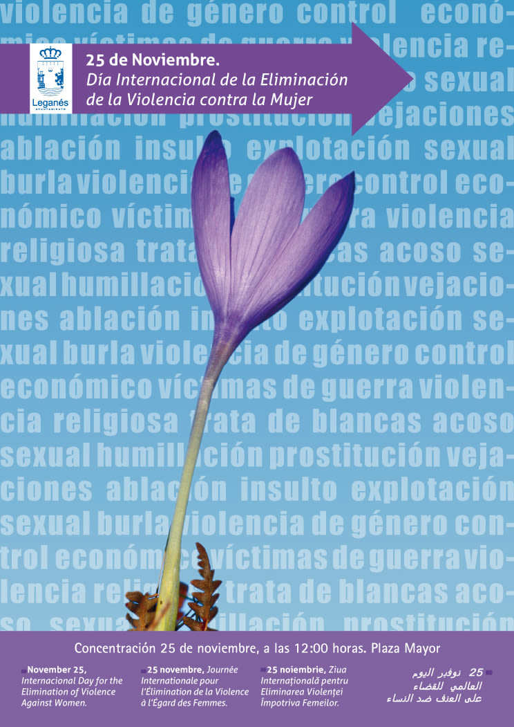 Día Internacional de la Eliminación de la Violencia contra la mujer 2