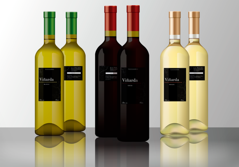 Propuesta etiquetado botella de vino Viñarda 3