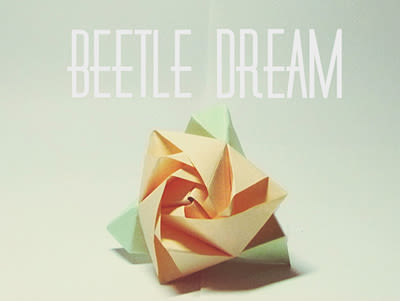 Beetle Dream 2