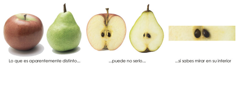 Peras y manzanas 2