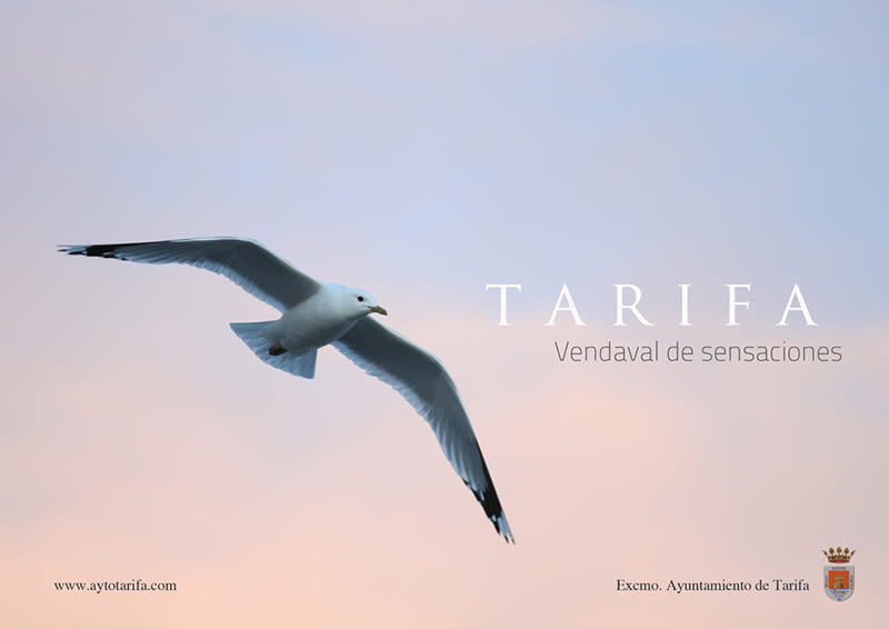 Propuesta imagen promocional Tarifa 4