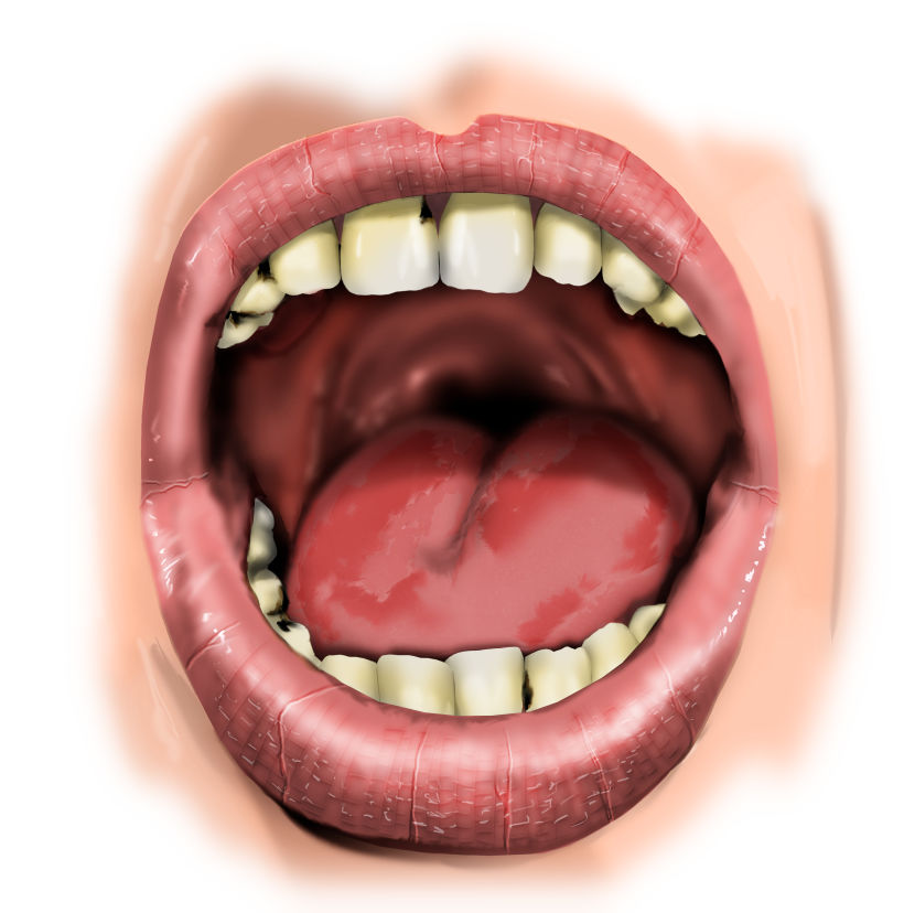 Ilustraciones odontologia 3