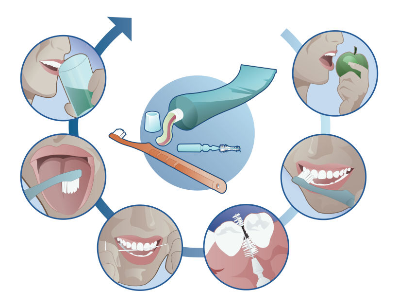 Ilustraciones odontologia 1