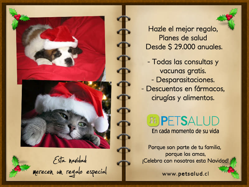 Pet Salud 9
