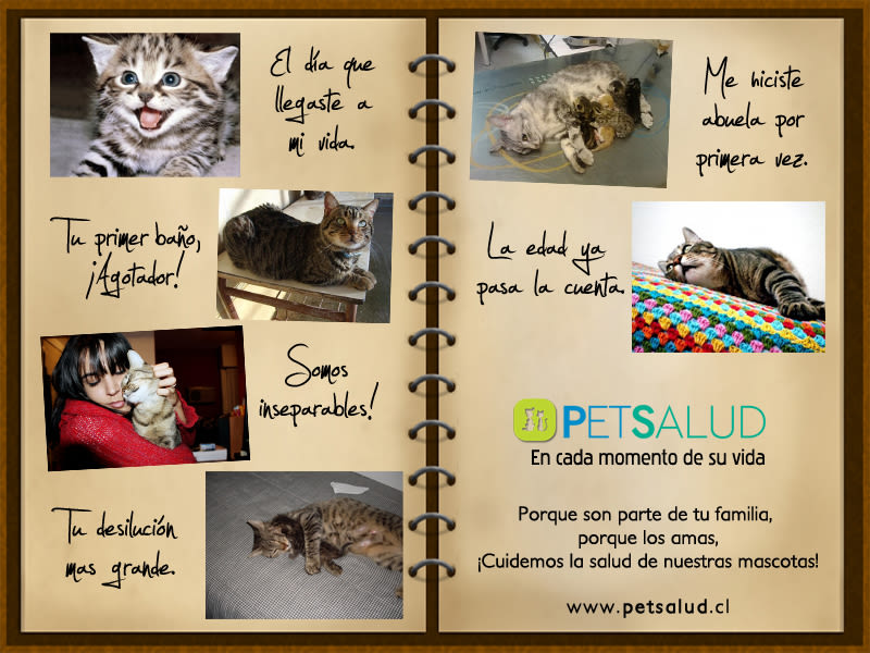 Pet Salud 8
