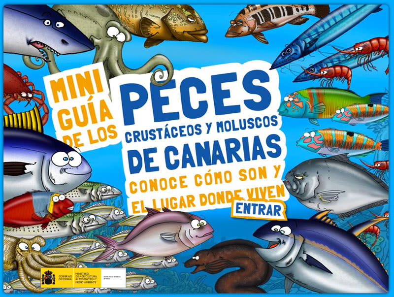 Miniguía de los peces, crustáceos y moluscos de Canarias 1