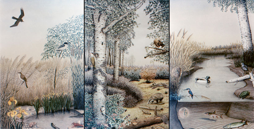 Ilustraciones para el centro de interpretación de la naturaleza de Alfranca, en Zaragoza.