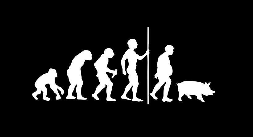 Men-evolution 3
