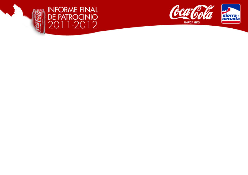 Informe final Coca-Cola 4