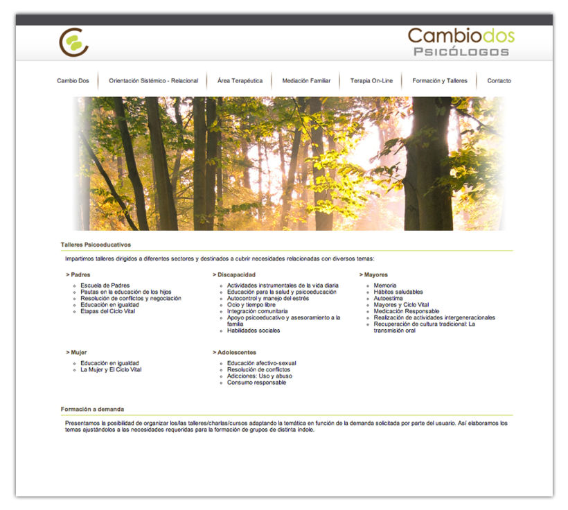 Cambio 2 website 2