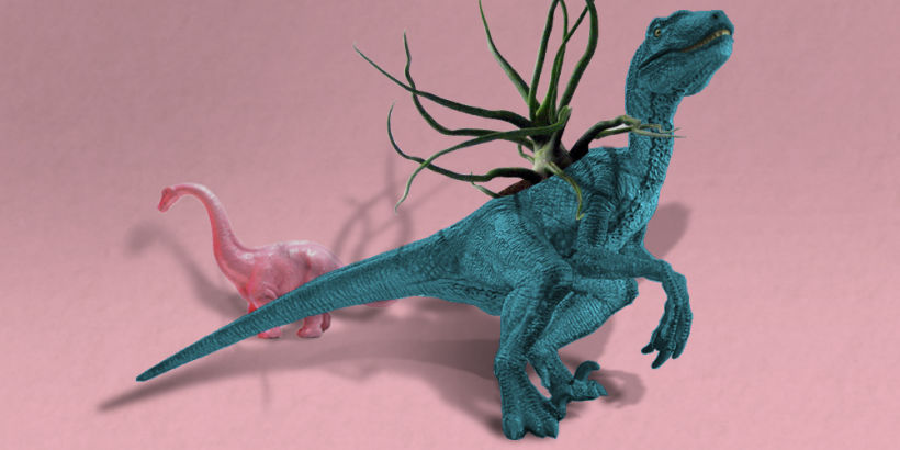 the Dino Plantaurio 4