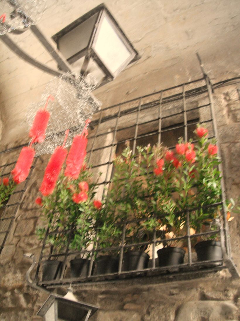 Girona Temps de flors 2011 2