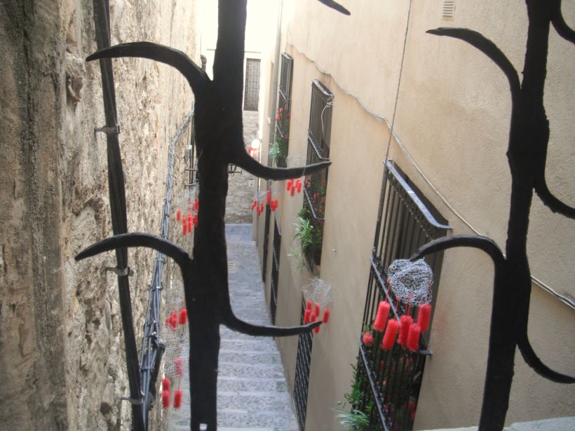Girona Temps de flors 2011 1