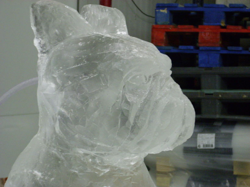 Escultura de hielo / ice sculpture 5