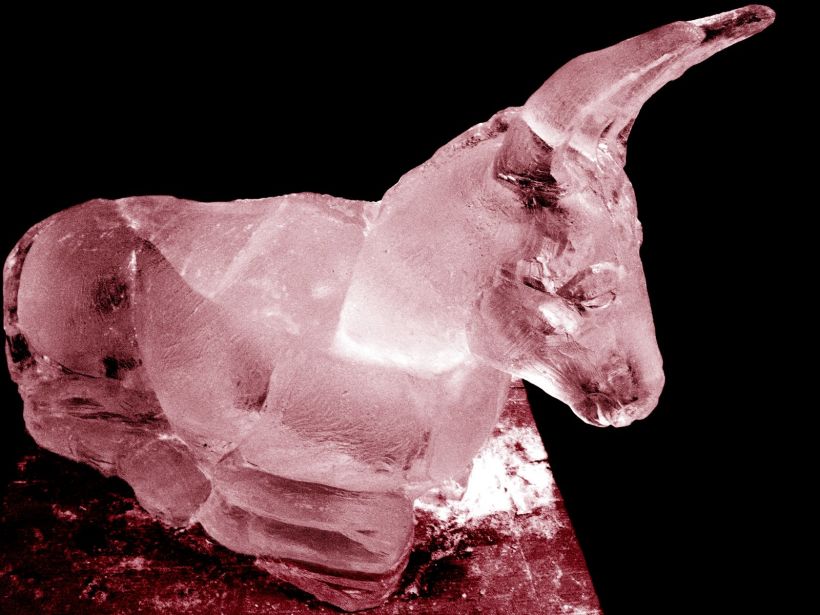Escultura de hielo / ice sculpture 3