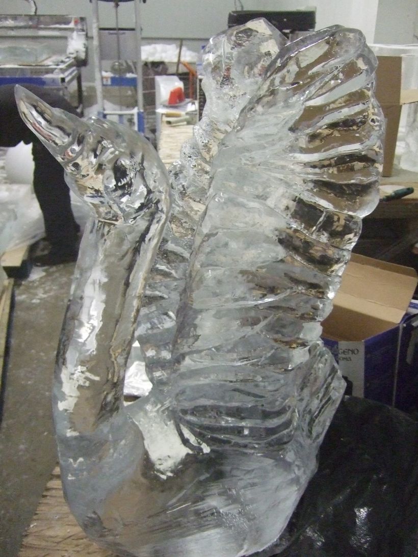 Escultura de hielo / ice sculpture 11