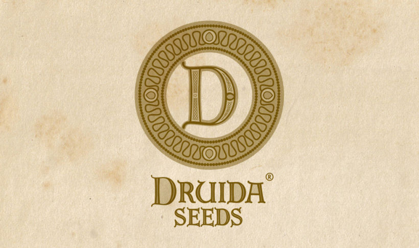 Druida Seeds 2