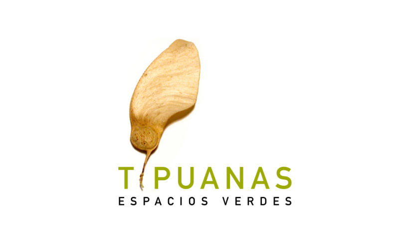 Tipuanas, Espacios Verdes 2