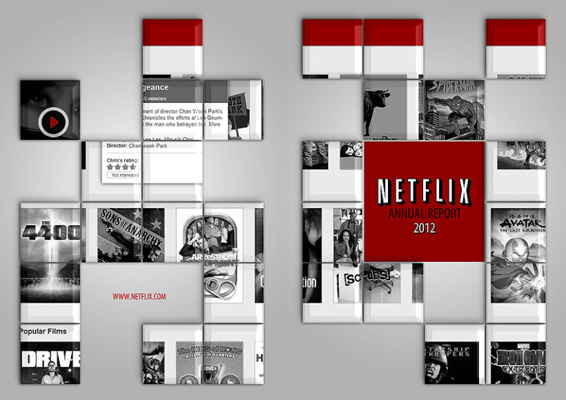 Netflix - Annual Report 1