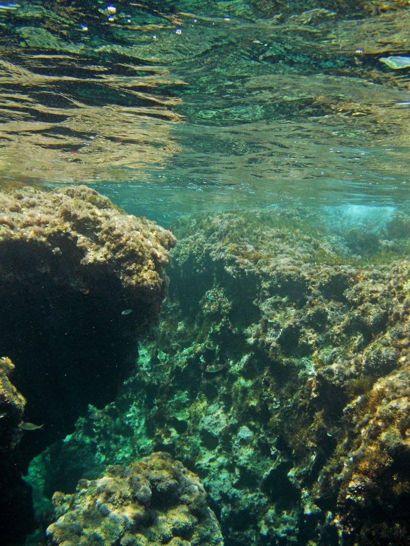 Underwater pics 17
