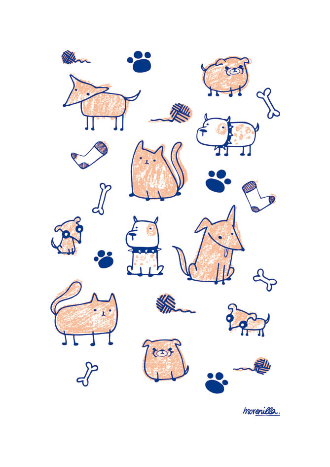 Cats & Dogs 1