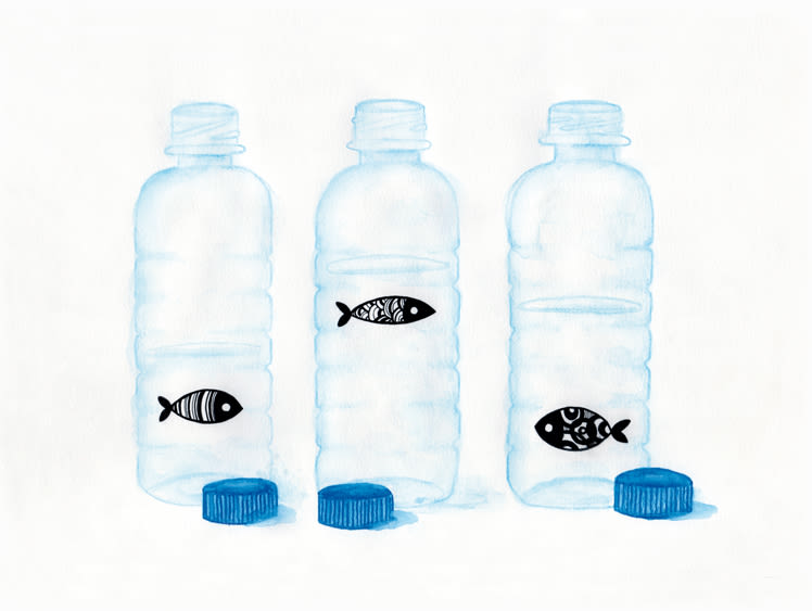 Fishes and bottles 1