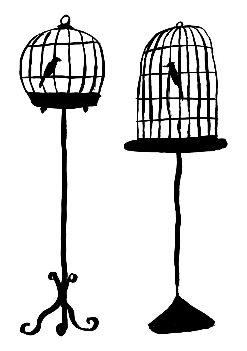 birdcage 4